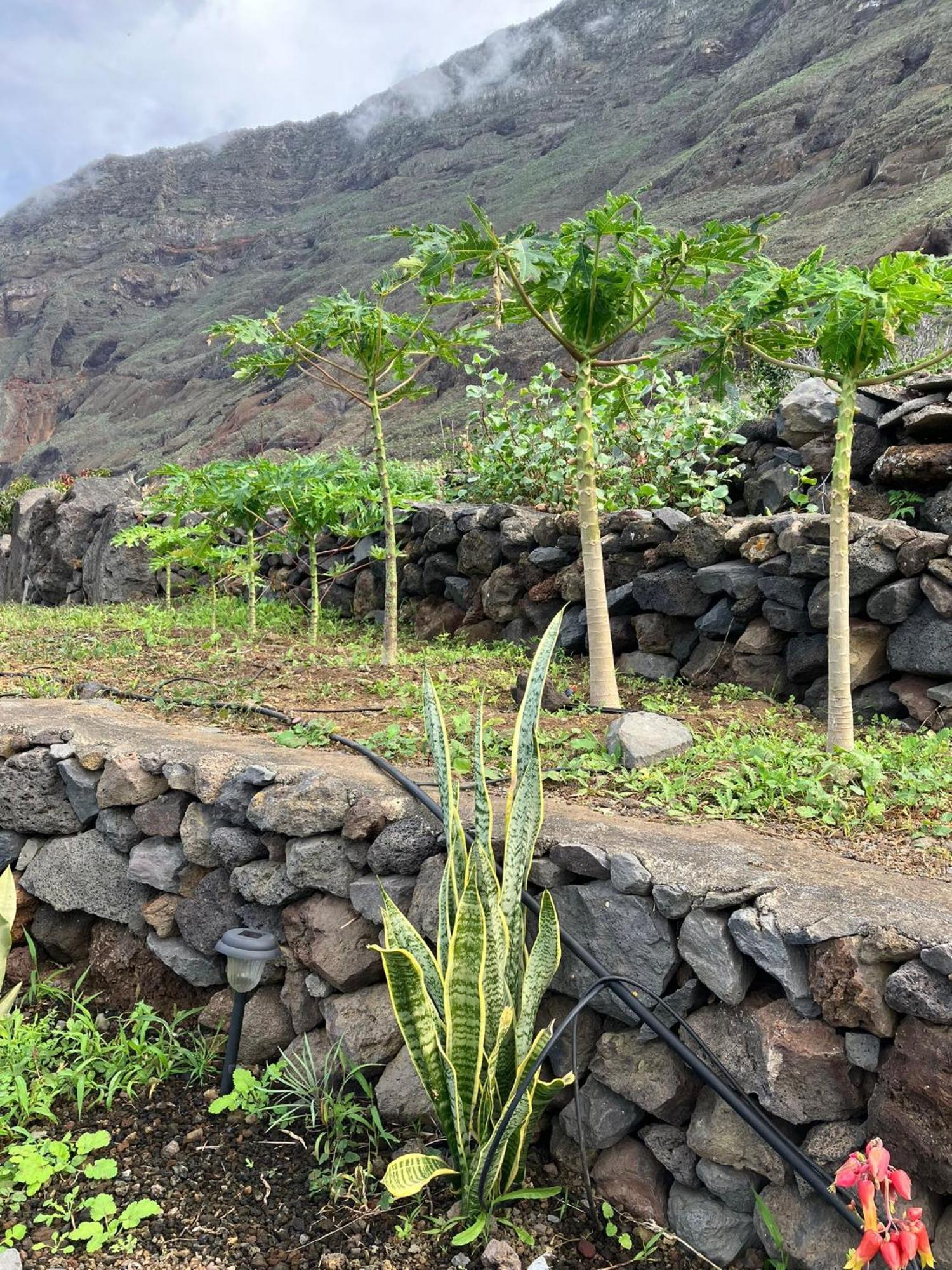 Casa Nela. Rural Y Acogedora En Las Puntas El Hierro Фронтера Екстер'єр фото